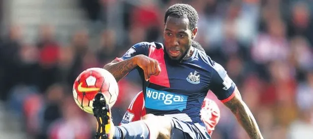 Van der Wiel’in yerine Hollandalı Anita