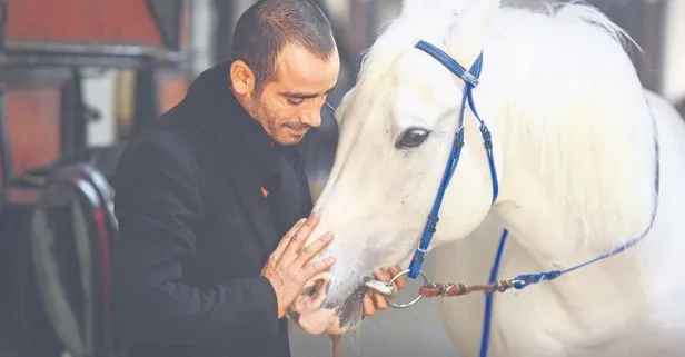 Aklı ’Selim’