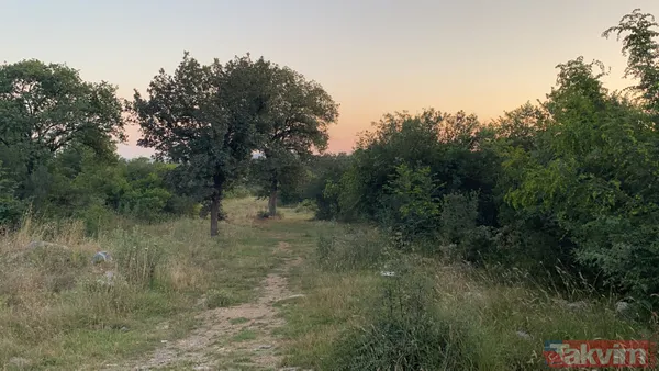 Cinsel istismara direndi kafasına defalarca taşla vurdu! Ayşegül yaşam savaşını kaybetti - 7