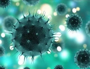 Koronavirüste yeni mutasyon! Daha çok bulaşıyor