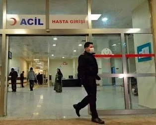 Domuz gribinden 1 can daha gitti