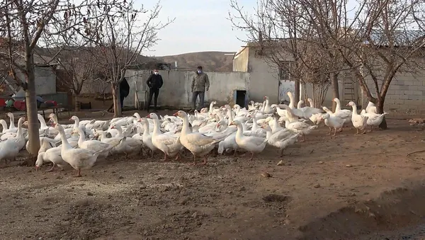 Maliye’den emekli oldu bu işe girdi! Paraya para demiyor-3