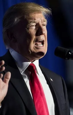 Trump'tan flaş Suriye kararı