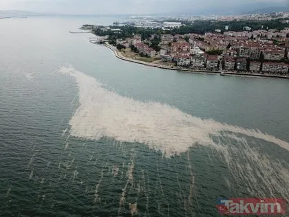 Marmara Denizi’ndeki müsilaj ekonomiye katkı sağlar mı? Rapor hazırlandı: Yakıt ya da gübre olarak kullanılamaz