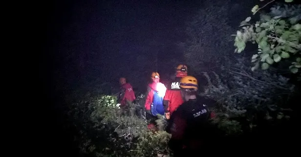 Uludağ'da piknikte odun toplamaya çıkan kadın kayıp! Gülefer Boynukısa her yerde aranıyor