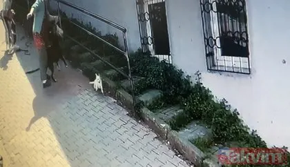Kağıthane’de köpeğini parka götüren kadın dehşeti yaşadı! Pitbull saldırısı kamerada