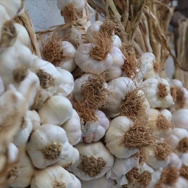 Çürüklere sarımsak yeter