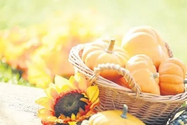 Balkabağı sofraların şifa kaynağı