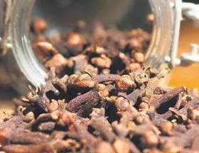 Karaciğere karanfil