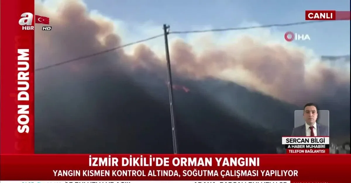 Son Dakika Izmir Dikili De Orman Yangini Takvim