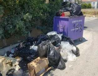 İzmir Çeşme’de çöp krizi!
