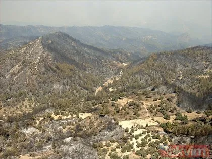 Antalya’da küllerinden yeniden doğan orman dron ile görüntülendi! Tam 1 milyon 747 bin 600 adet fidan dikildi