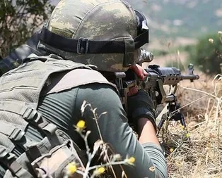 Hakkaride terör operasyonu! Etkisiz hale getirildiler