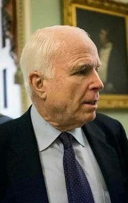 McCain: "ABD ÖSO'yu desteklemeli ve..."