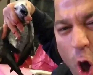 Psikopat Murat Özdemirin işkence yaptığı papağan öldü!
