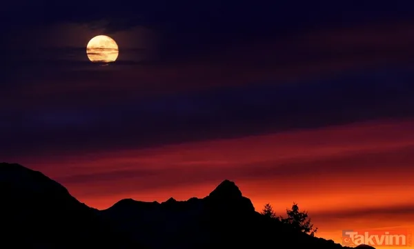 Kızıl Gezegen’de dev keşif: Yaşamın ipuçları ortaya çıktı! Meğer bulunan su izleri... - 2