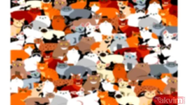 Bu Tür Görsel Testler, Dikkat Sürenizi Artırmanın Yanı Sıra Zeka, Gözlem Yeteneği Ve Problem Çözme Becerilerinizi De Geliştirmenize Yardımcı Olur. Ayrıca...