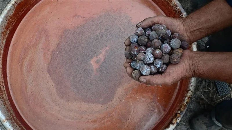 canan-karatayin-onay-verdigi-diyet-sirri-ne-odem-birakiyor-ne-de-yag-1727543375353.jpg Andıç pekmezi (AA)