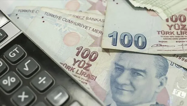 Haziran ayı nakdi ücret desteği ödemesi yattı mı? Nakdi ücret desteği T.C. kimlik no ödeme iban ve PTT yatma tarihi!-6