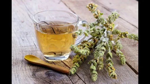 ada-cayi-faydalari-neler-ada-cayi-neye-iyi-gelir-nasil-hazirlanir-1655372062327.jpg Ada çayı faydaları neler? Ada çayı neye iyi gelir, nasıl hazırlanır?-4