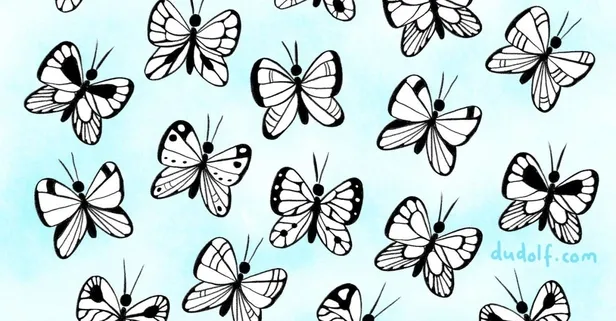 IQ testi: Bulanların Zekası Oldukça Kıvrak! Hangi Kelebeğin Benzersiz Bir Deseni Vardır?