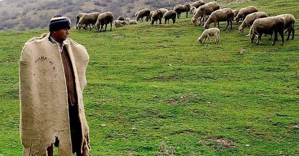 150 bin çoban açığını Afganlar kapatacak