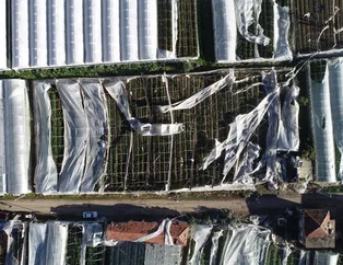 Antalya felaketi yaşadı! Sağanak ve hortum bin dönüm serayı yerle bir etti 6 kişi yaralandı