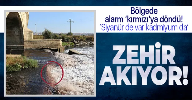 Trakya'da kırmızı alarm! Ergene Havzası'nda zehir taştı!