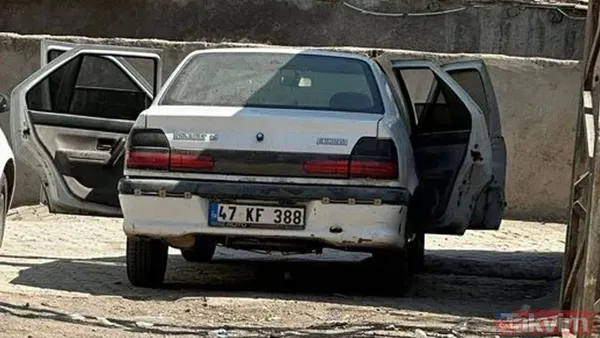 Narin Güran'ın köpeği nerede? Baran Güran'dan yeni açıklamalar! Araç içinde 3 kişinin daha DNA'sı bulundu - 15