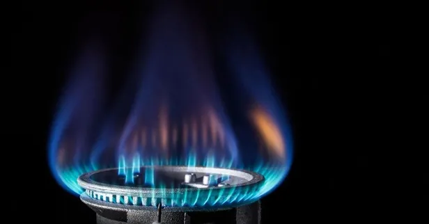 Avrupa'da doğalgaz ve elektrik krizi! Fiyatlarda rekor artış: 9 aylık süreçte %250 bandını gördü-7