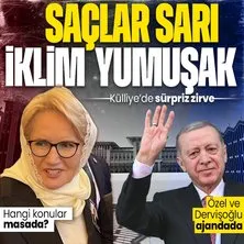 Son dakika: Başkan Recep Tayyip Erdoğan, Meral Akşener’i kabul edecek! Külliye’de ’sürpriz’ zirve