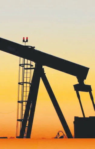 Terörden arındırılan Gabar Dağı'nda 150 milyon varil petrol rezervi bulundu! Petrol alanına  Şehit Esma Çevik'in adı verildi