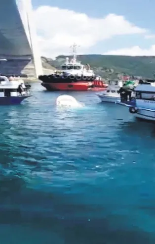 Boğaz’da facia: 2 ölü 1 yaralı