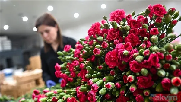 8 Mart Dünya Kadınlar Günü tarihçesi ve önemi: 2026’da Kadınlar Günü ne zaman kutlanacak? - 6