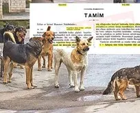 Başıboş sokak köpeği sorununa tarihsel bakış! Atatürk dönemindeki Resmi Gazete’de ’umumi mücade’ vurgusu