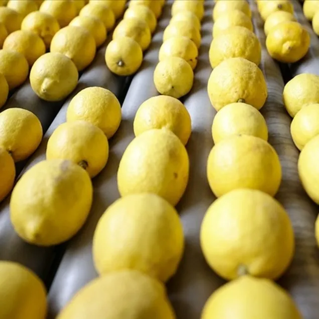 Hazımsızlığa limon sıkın