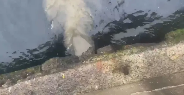 CHP'li İBB Marmara Denizi'ni kirletiyor! Yine Kuleli yine İSKİ! Bakanlıktan 2 katı ceza