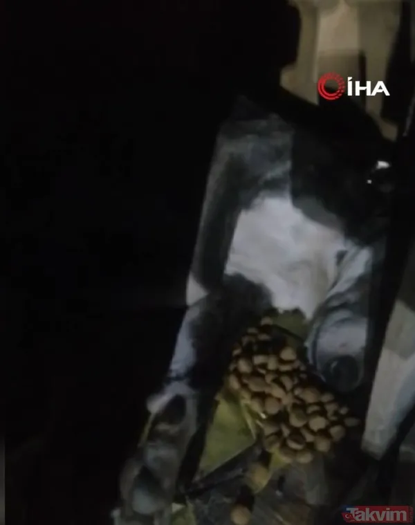 İstanbul, Tuzla'da cani sürücü 4 yaşındaki köpeği ezdi ve arkasına bakmadan kaçtı - 10