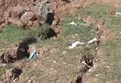 Asrın felaketinde fay hattı geçtiği yeri yıkıma uğrattı