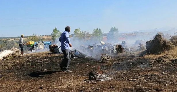 Kastamonu'da otluk alanda yangın! Bir anda büyüdü ormana sıçradı