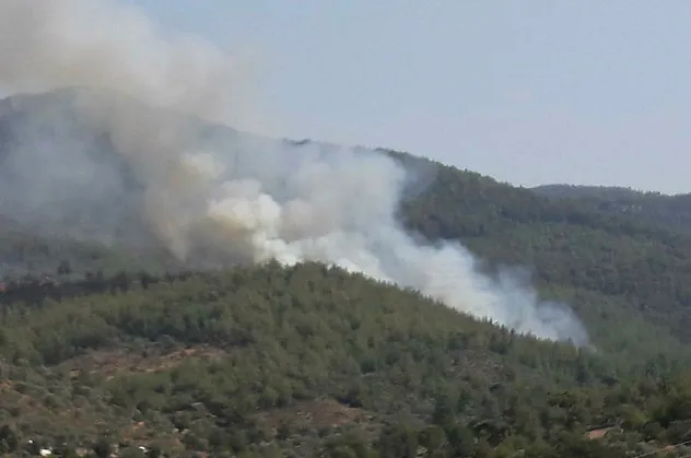 Muğla'da orman yangını