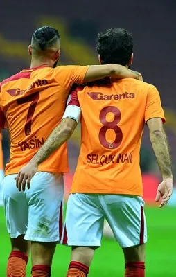 Aslan kupada kükredi