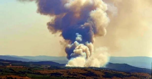 Son dakika: Tekirdağ’ın Malkara ilçesinde orman yangını! Ekiplerin müdahalesi sürüyor