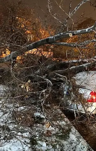 Aksaray'da etkili olan kar yağışı ağaçları devirdi! Devrilen ağaçların altında kalan araçları itfaiye ekipleri kurtardı