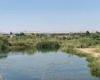 Fırat Nehri’nde kaybolan 2 gençten acı haber geldi