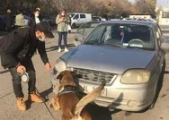 Ankara Büyükşehir Belediyesinde skandal olay! Belediye kartıyla uyuşturucu sevkiyatı