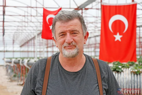 Jeofizik mühendisi 2 milyonluk yatırımla çilek serası kurdu! Taleplere yetişemiyor - 6