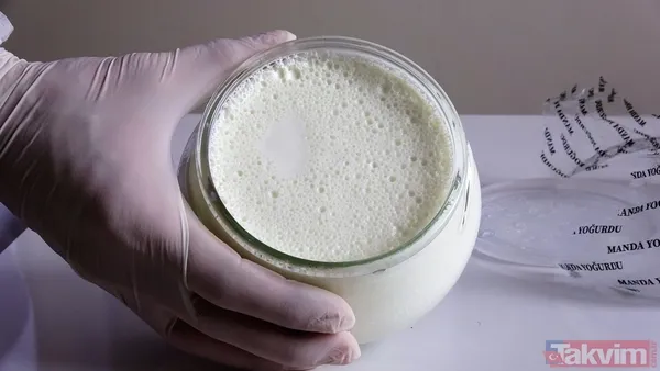 Başkan Erdoğan manda yoğurdunu tavsiye etti! Tokat manda yoğurdu üretiminde önde gelen şehirlerden - 3