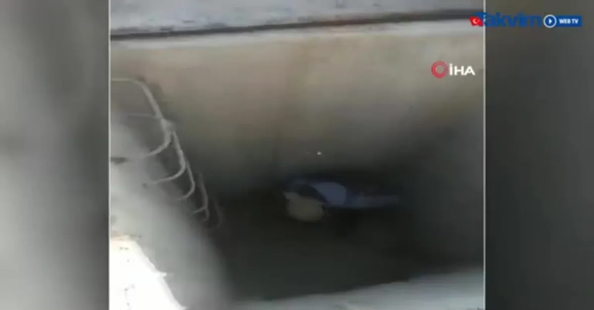 Resulayn’da PKK’ya ait tünel bulundu |Video