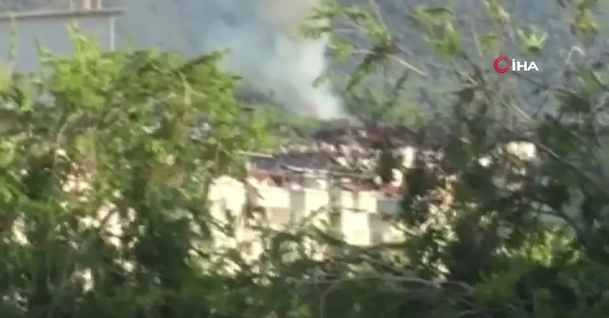 Son dakika: Alanya'da orman yangını